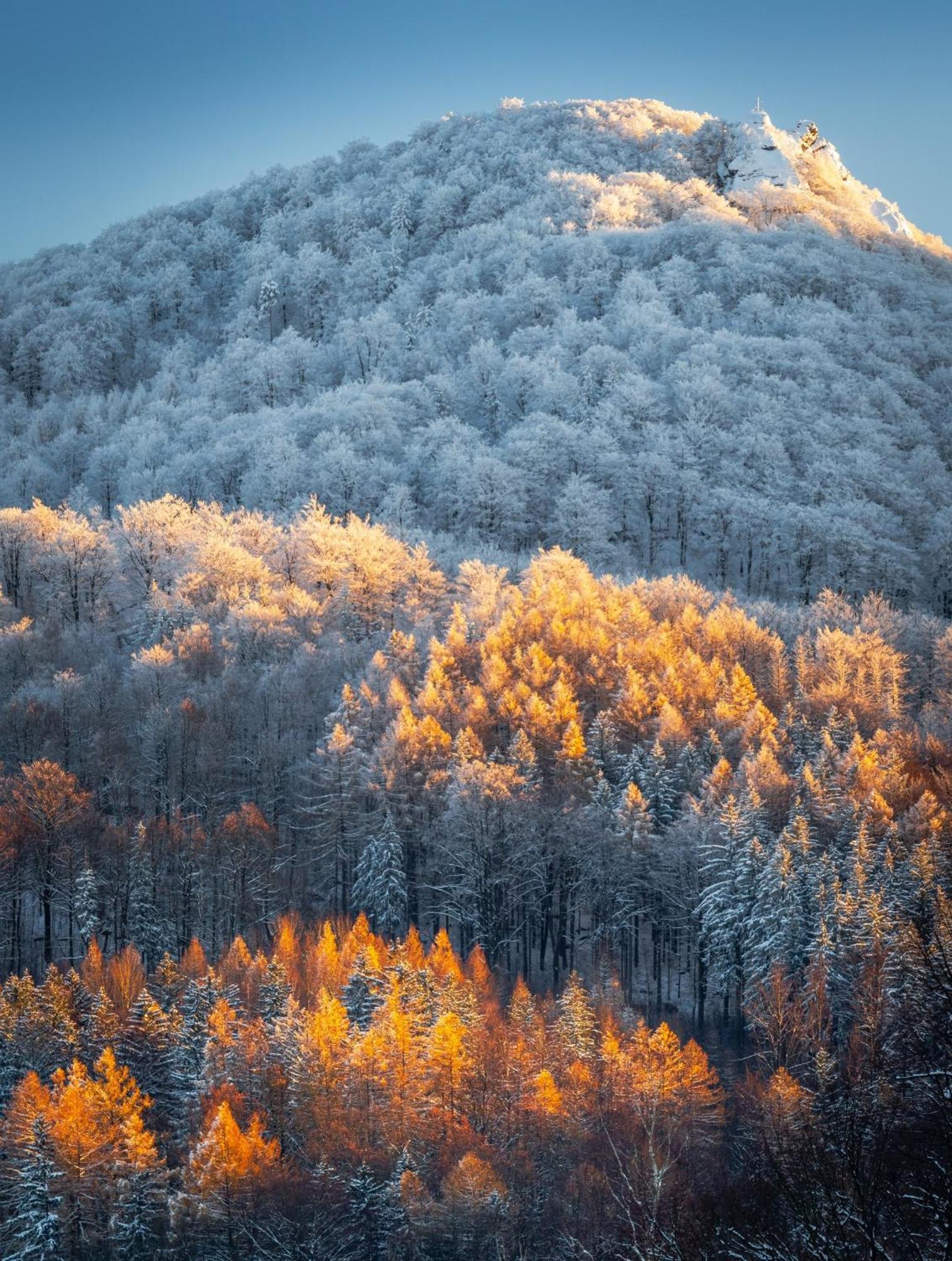 Klaster Hejnice - Vzdelavaci, Konferencni A Poutni Dum ภายนอก รูปภาพ